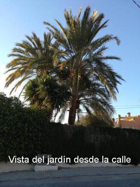 Apartamento Sun & Palm Trees Balsares Exterior foto