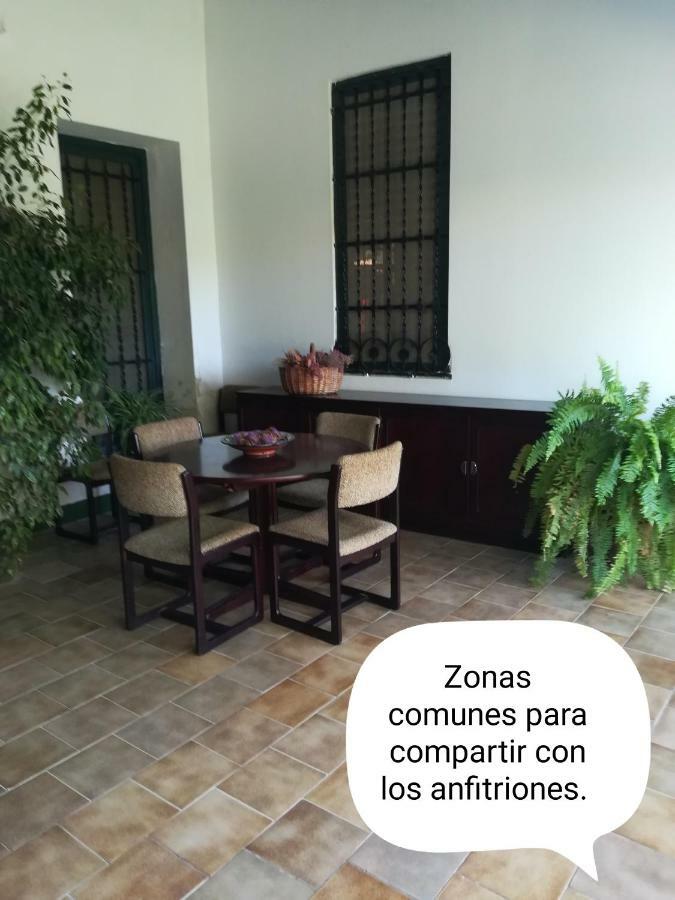 Apartamento Sun & Palm Trees Balsares Exterior foto